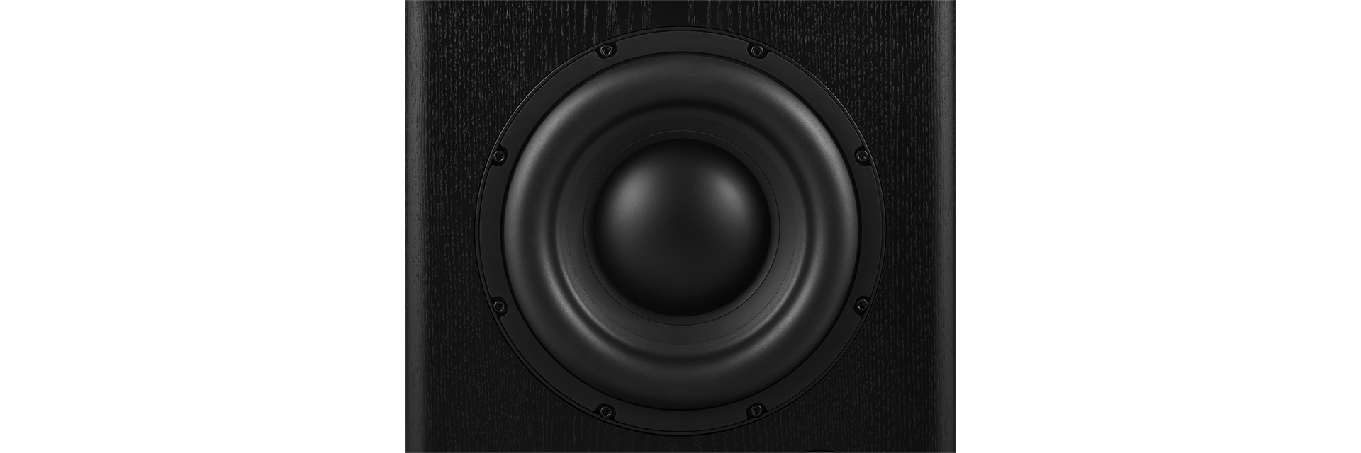 12-inch (300mm) black pure-pulp cone, cast frame woofer with 4-inch (100mm) voice coil